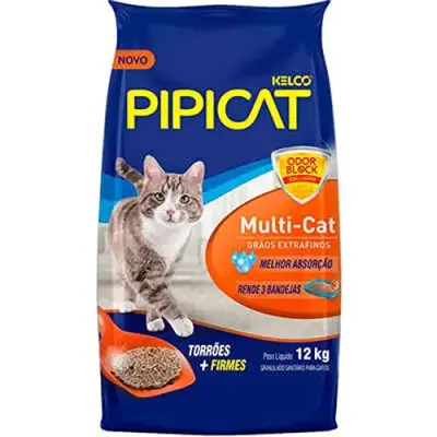 Pipicat Multicat