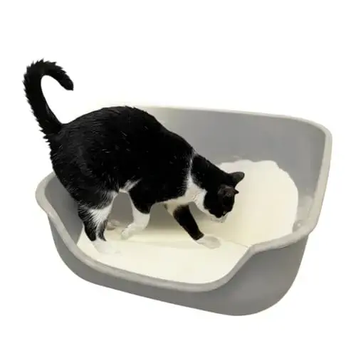 Caixa de areia para gato grande Pet Games Caixona de Areia