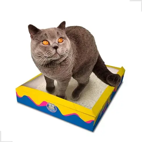 CatMyPet Gatotô