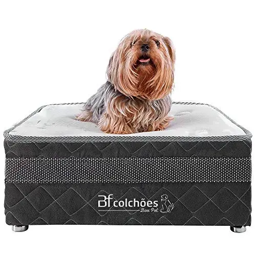 BF Colchões Cama Box Pet