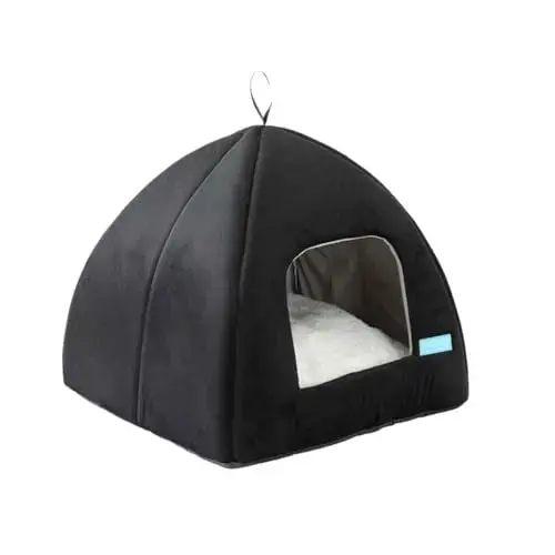 Duke & Dixie Toca Iglu