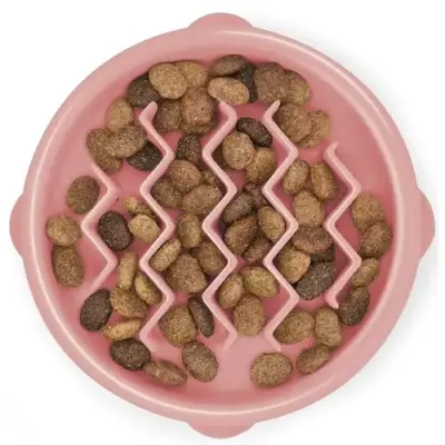 Comedouro interativo Outward Hound Fun Feeder Slo Bowl