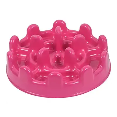 Pet Games Mini Pet Fit