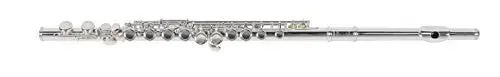 Flauta transversal Vogga VSFL702N