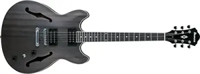 Ibanez AS53