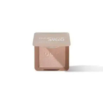 Dailus Pro