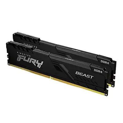 Kingston Fury Beast