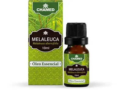 Chamed Melaleuca