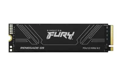 Kingston Fury Renegade