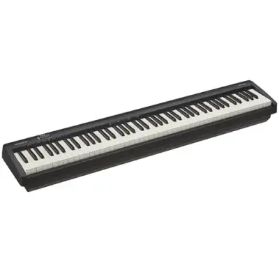 Roland FP-10