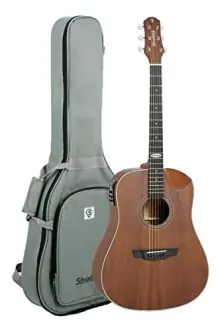 Strinberg SD201HC