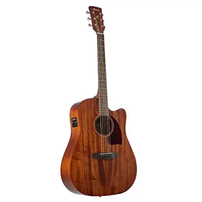 Ibanez PF12MHCE
